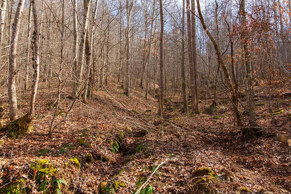 Kentucky, Clay County, 7.28 Acre Blackstone Mountain, Lot 78