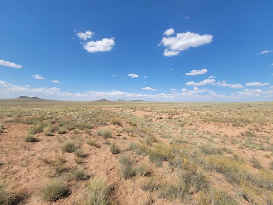 Don't tell My wife! 1.2 acres in Navajo Going Super Cheap!!!