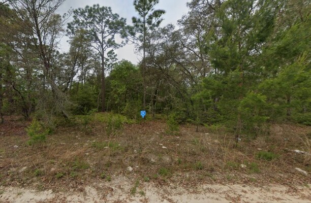 $253/Mo. Satsuma, FL, 0.25 Acres Close to Lakes and Parks