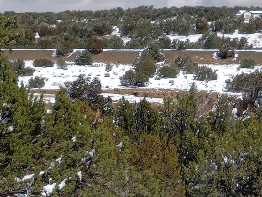 Affordable Colorado Residential Lot With Power Close- 2.32 Acres in Huerfano for just $500/Down