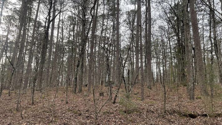 0.27 Acres in Hot Springs Village, AR for Just $75/Month!