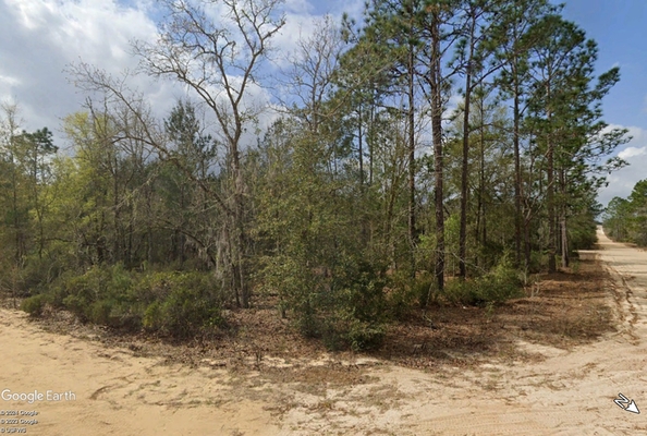 Rare Opportunity 4 Adjacent Lots for Sale in Interlachen FL!