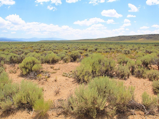 Unlock Your Colorado Dream: 5.12 Acres of Scenic Serenity!