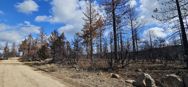 Unlock the Potential of 4.6 Acres in Klamath County, Oregon