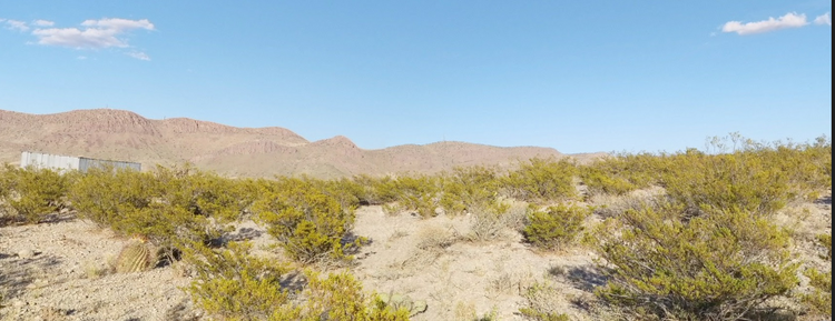 Unlock Off-Grid Freedom: Luna, NM's 0.55 Acre lot: $50 Down!