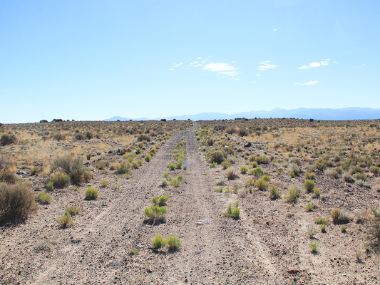 300/Mo - Potential 9.09 Acres in Blanca, Costilla County, CO