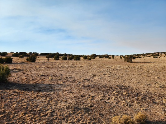 Stunning 1.04 acre in Arizona~ Yours at $99 Down! HURRR!!!