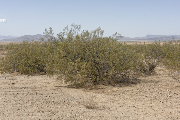 Own Your Off-Road Playground