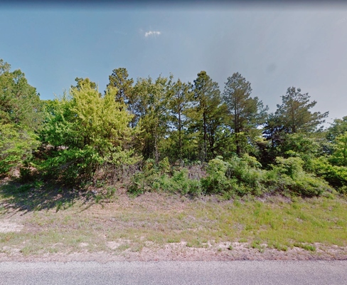 0.07 Acre in Winnsboro, Texas (only $200 a month)