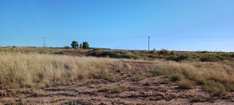 1.11 Acres in St. Johns AZ for $129/Month!