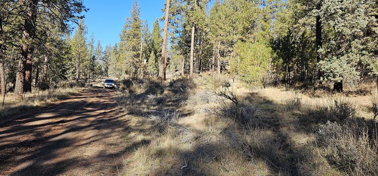 2.82 Acres – Heavily Treed & adjoins public forest lands!