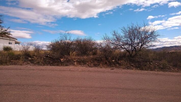 Unexpected dental work forces me to sell this Rio Rico lot.