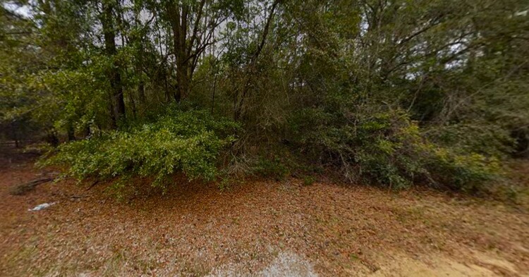 0.22-Acres to Develop, Camp, & Thrive in FL for $156/Mo!