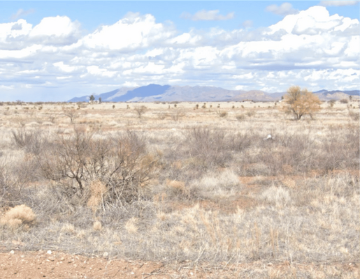 0.32-Acre Residential Lot in Douglas, AZ, 85607