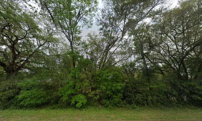 Start Summer Right with 0.22 Acres in Marion, FL $277.16/Mo