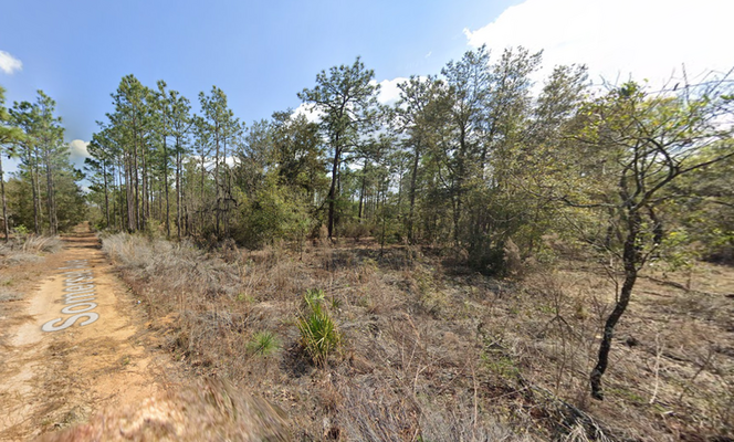 Affordable .22-Acre Lot in Interlachen, FL –  Only $180/Mon!