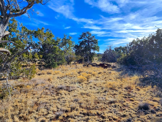 Unrestricted 5 Acres Outdoor ***Pending****