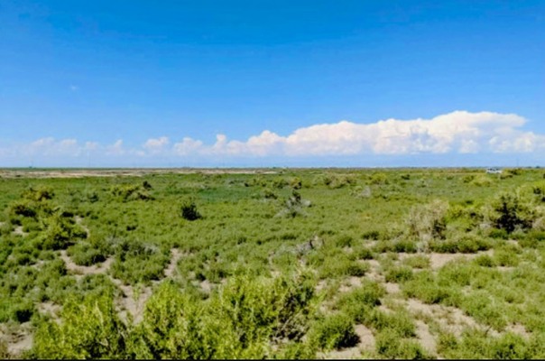 You can’t afford to miss this amazing 40.00-acre property in Alamosa, CO.