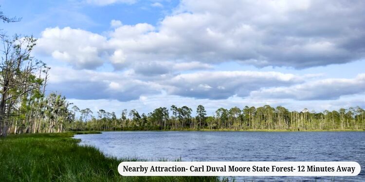 0.22 ac of Peaceful Living with Endless Florida Adventure!