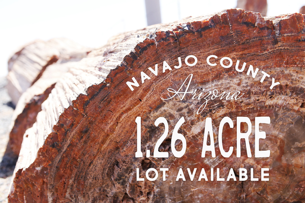 ☀️ Beauty & Solitude in the DESERT! 1.26 Acres • NAVAJO County, Arizona ☀️