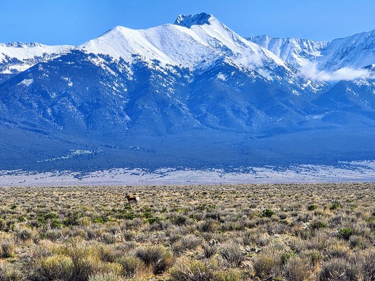 Land for a True Mountain Man (with a Powerful Truck!)