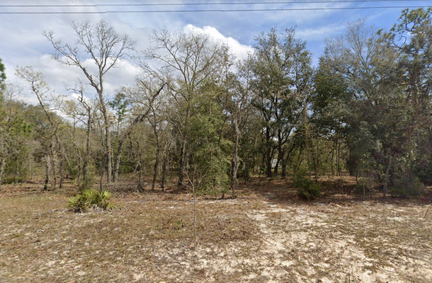 .22 Acre Perfect for Mobile Home Living! - Only $180/mo