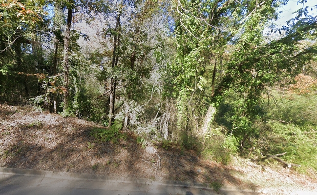 0.32-acre property in Montana St, Hot Springs, AR