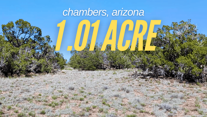 Set Up Your Camp Here! 1 Acre In Chambers, AZ @$150/MO!