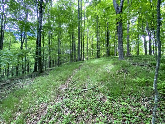 SOLD!Ashe County Land: Virgin, Wooded, Power Nearby, $589/Mo