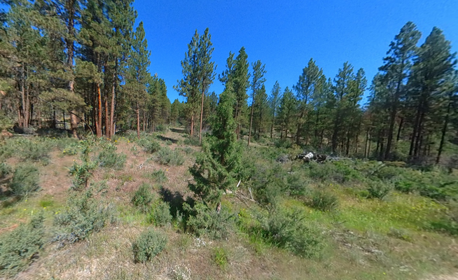 1.75-Acres in Klamath, OR, $199/Mo!