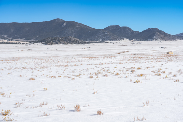 Own Land in Colorado