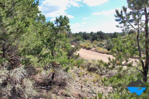 6.93 Acres with Stunning Mountain Views and Adventure