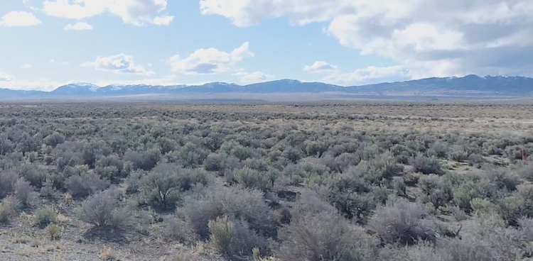 20 Acres in Elko, NV -$359/Mo! Owner Financing Available!