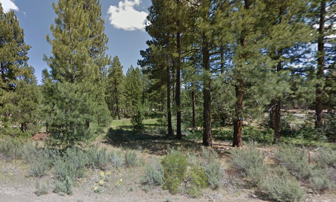 Reduced Down Payment on 4.73-Acres in Klamath, OR!