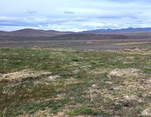 Nevada, Eureka County, 20 Acres Crescent Valley