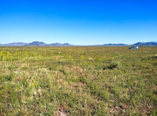 5 Acres Near Rio Grande – Scenic Mountain Views & Privacy!