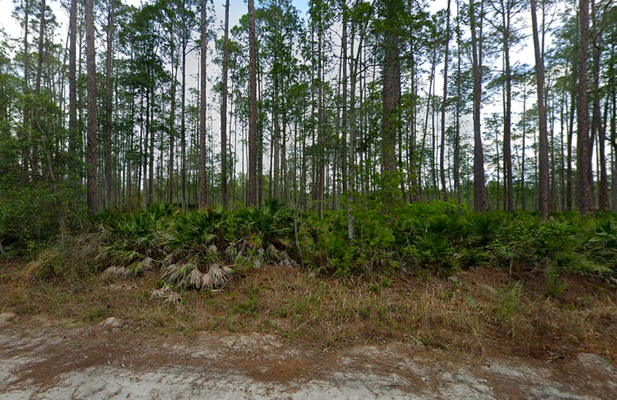 Discover Your FL Escape: Own 0.29 Acres  for $199/Mo!