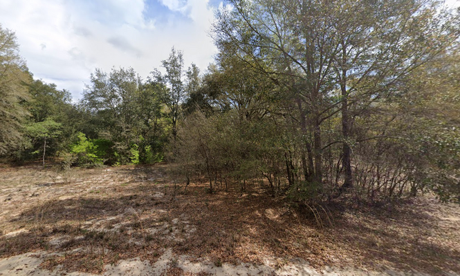 Residential Lot on Kitty Ave.