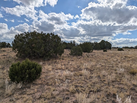 Your Launchpad to Outdoor Adventure 1.32 AC Apache,AZ $150/m