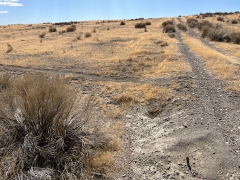 <span style='color:red; font-size: 18.0pt;'><marquee> 4.77-Acre of Freedom in Nevada</marquee></s></span><strong> AZ Adventure Awaits</strong>