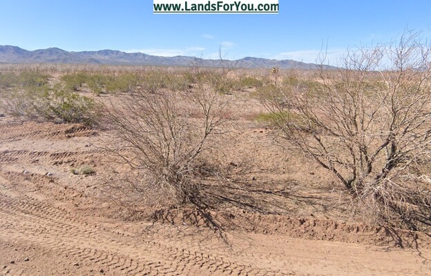 Develop Your Dreams (Not Your Hives) - 1 Acre AZ Land!