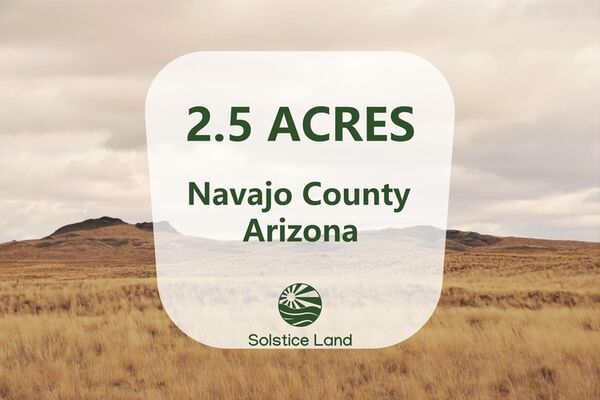 Fantastic Opportunity To Purchase Land in Navajo County