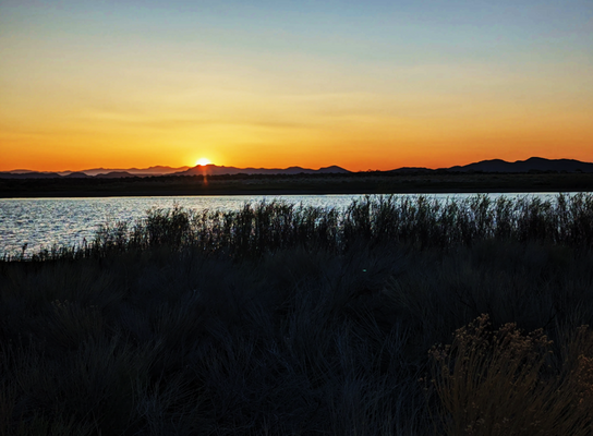 Happy Homestead-Making: 5.0 Acres in CO $169/Mo