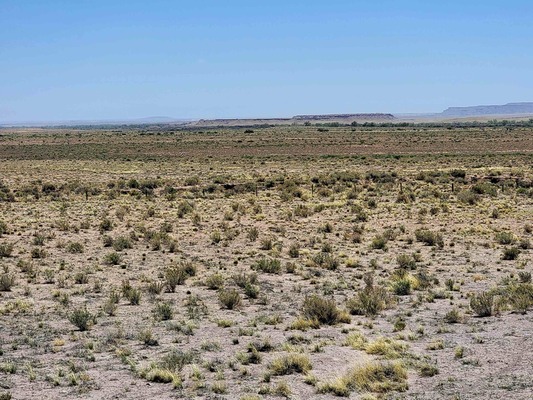 Own 2.52 Acres of Arizona’s Raw Beauty for Just $249/Month!