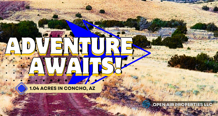 Adventure Awaits! 1.04 Acres in Concho, AZ