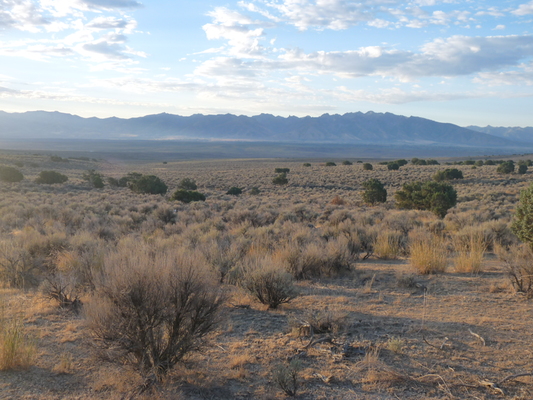 Near Elko. Secluded. 2.27ac. Feel the wide open space!