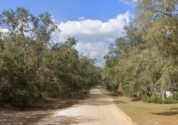 0.22 Acres in Interlachen FL only $175/mo