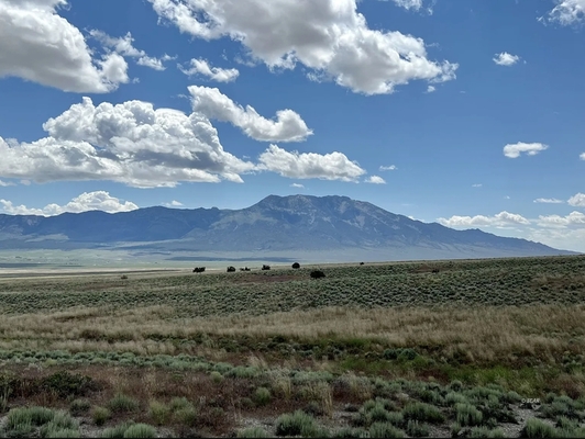 Invest in Land! 10 acre land in Montello, NV for $249/month