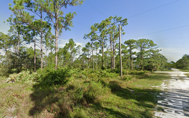 A Promising Asset for Your Portfolio! - .17 Acre for $295/Mo