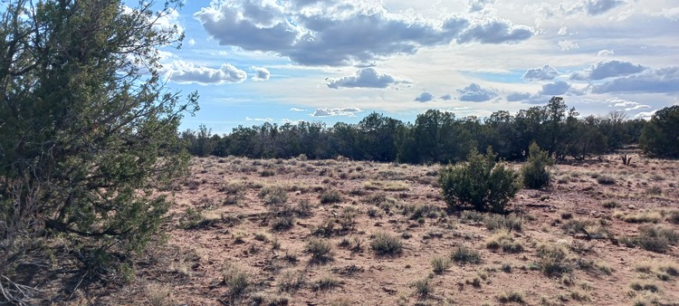 BLACK FRIDAY extended! 2.10 Acres near Concho AZ $10 DOWN!